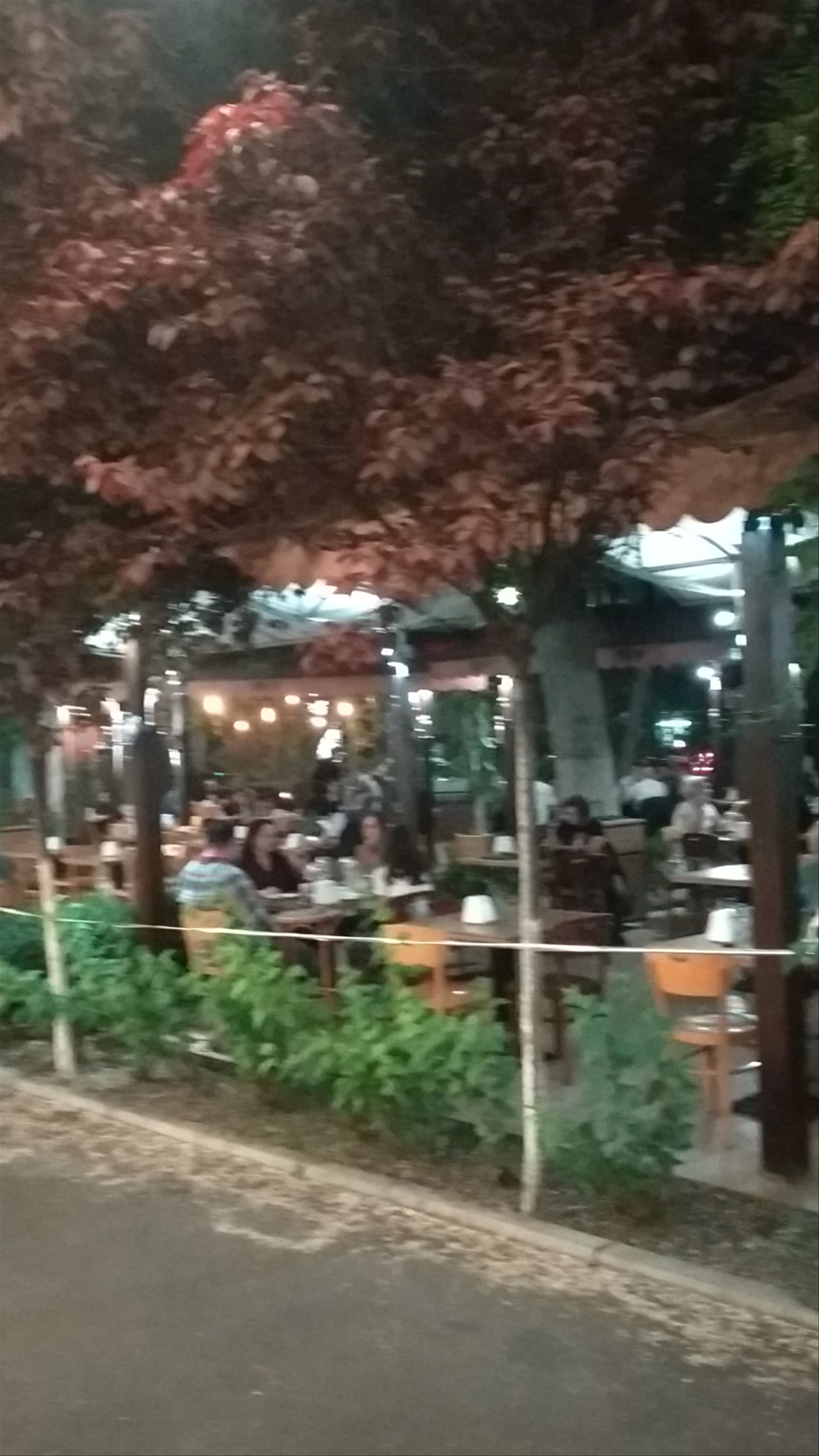 Evening Stroll & Dining at Opera District, Yerevan