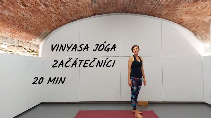 Vinyasa jóga pro začátečníky