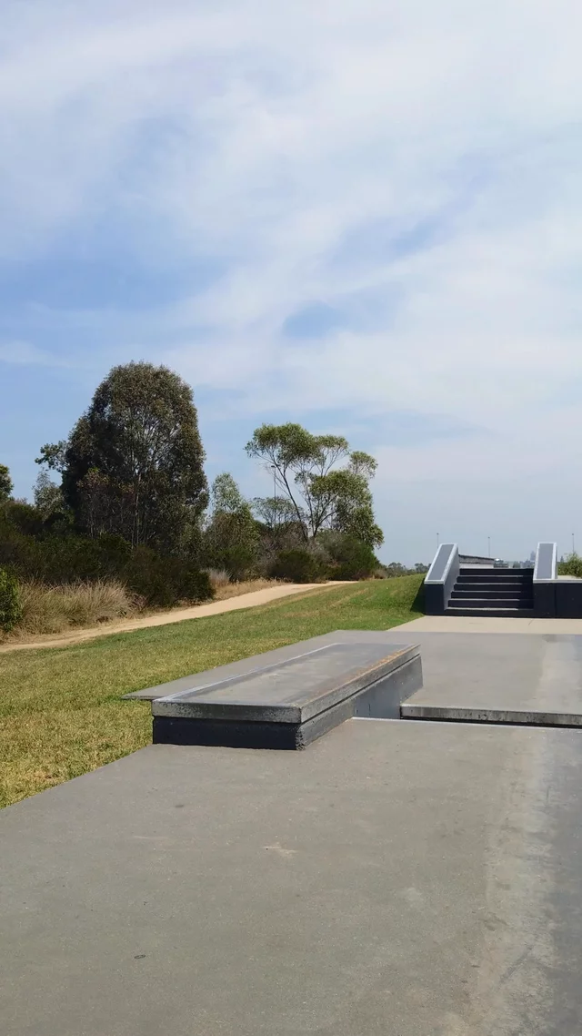riu set: Halfcab fakieflip up something