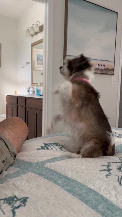HealthPointe Veterinary Clinic - Veterinarians Near Me - Duncan, South Carolina