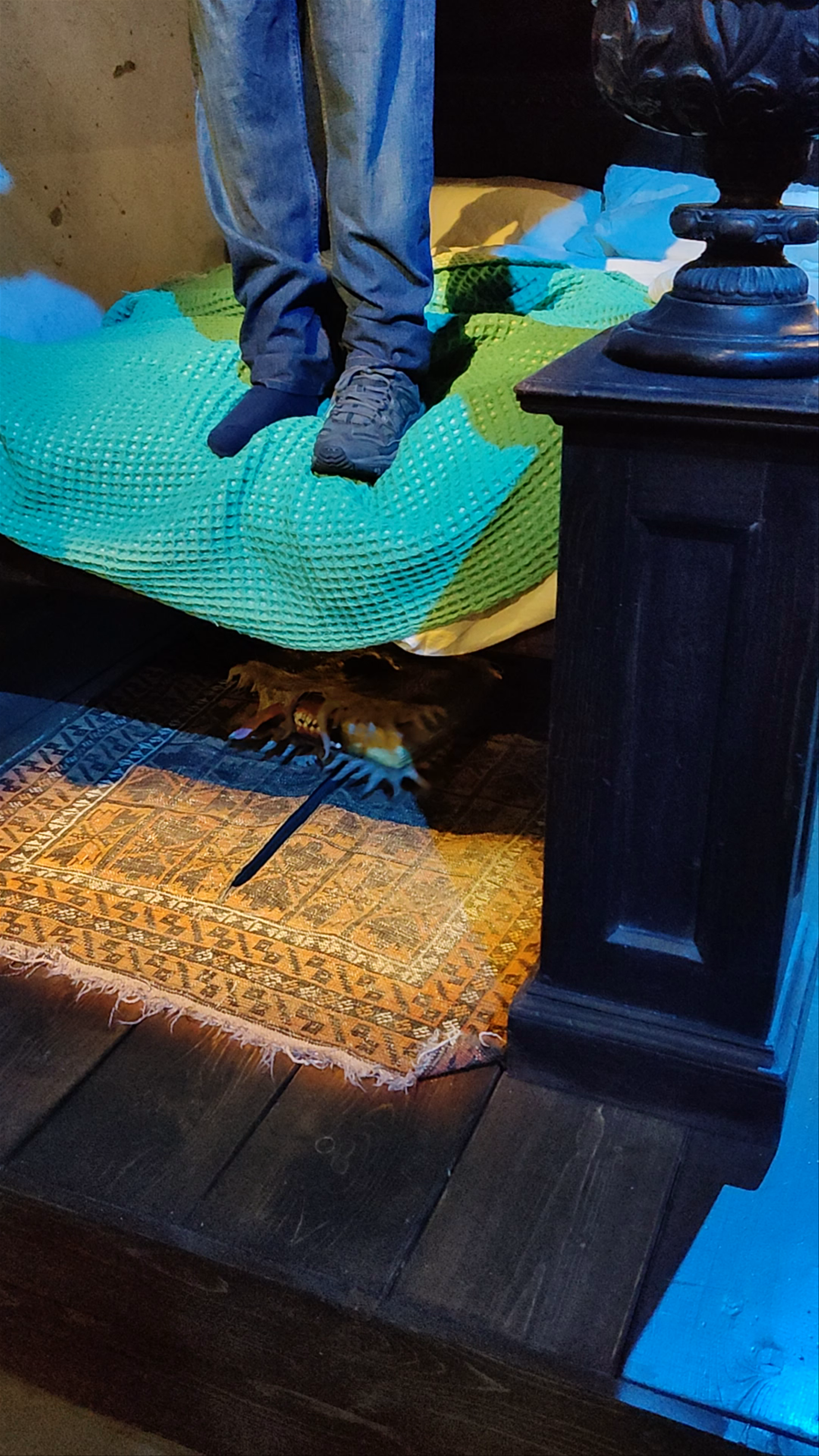 Warner Bros. Studio Tour London: The Enchanted Animated Book Experience
