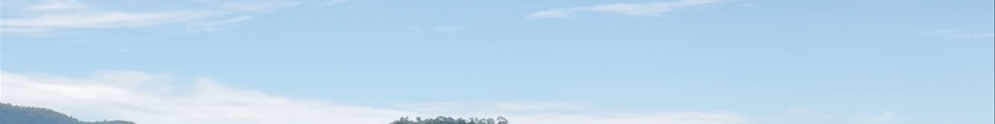 Tours & experiences in Kedah