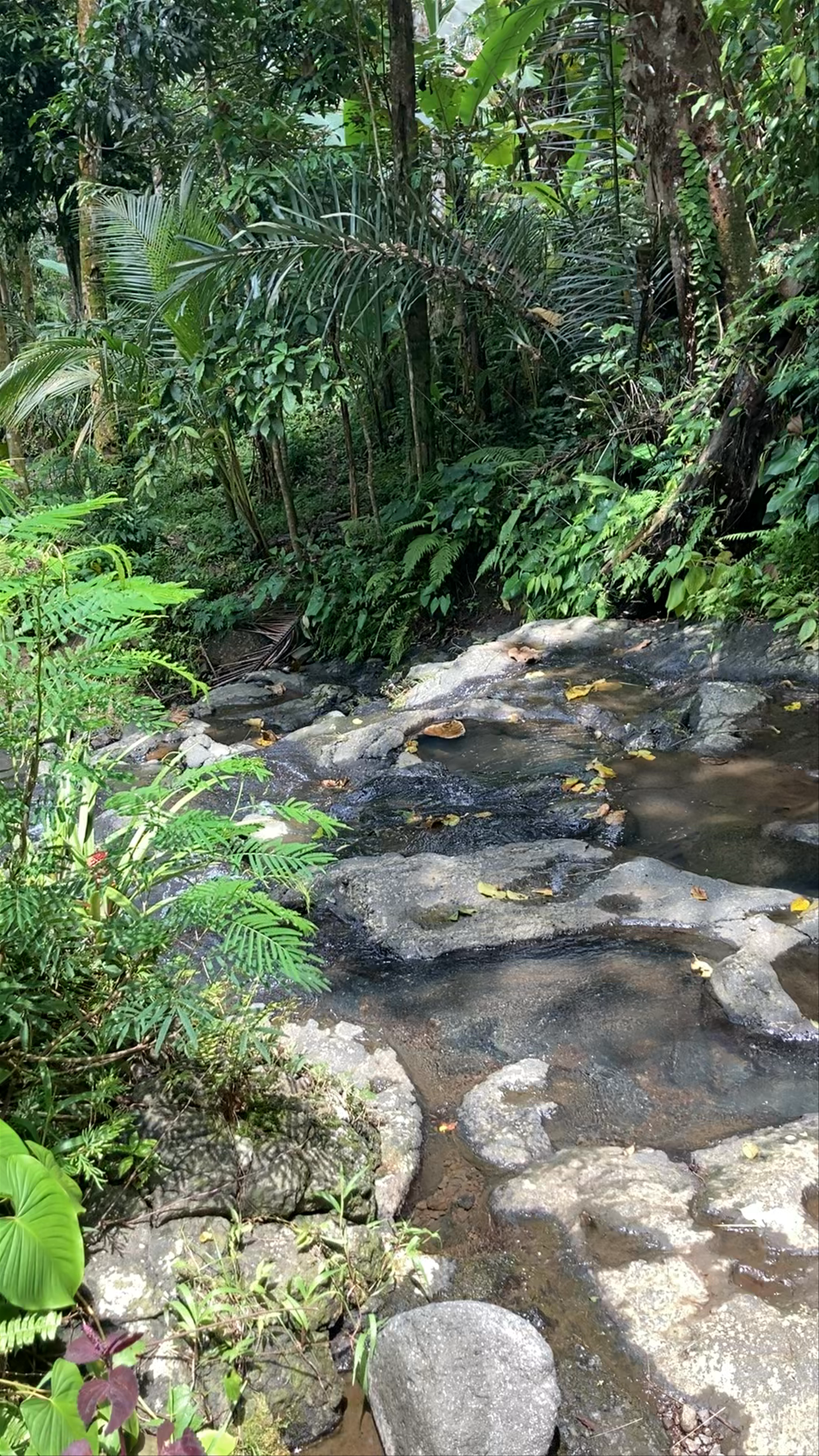 Gembleng Waterfall: Hidden Tropical Oasis in Bali's Karangasem Regency