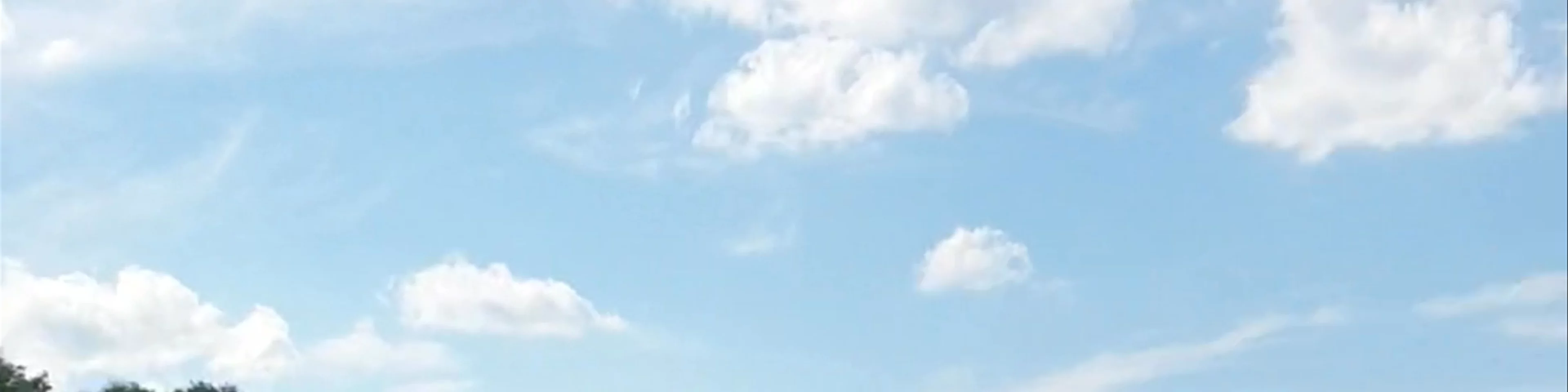Chata Rybaka - Pstrąg Roztoczański