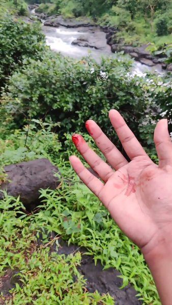 Photo of The Largest Waterfal