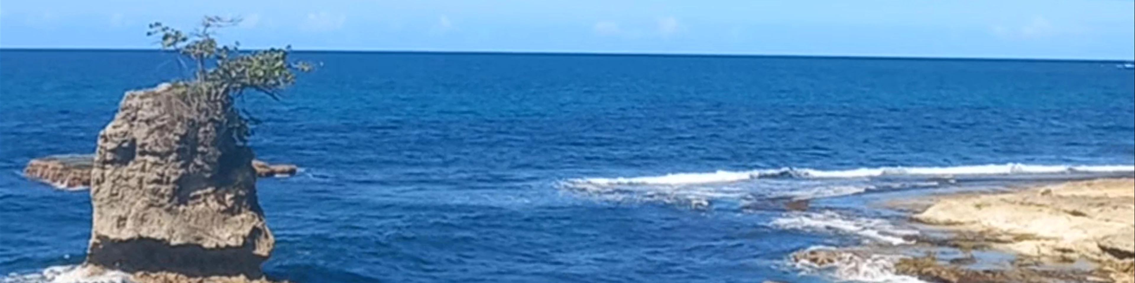 Refugio Nacional Gandoca-Manzanillo