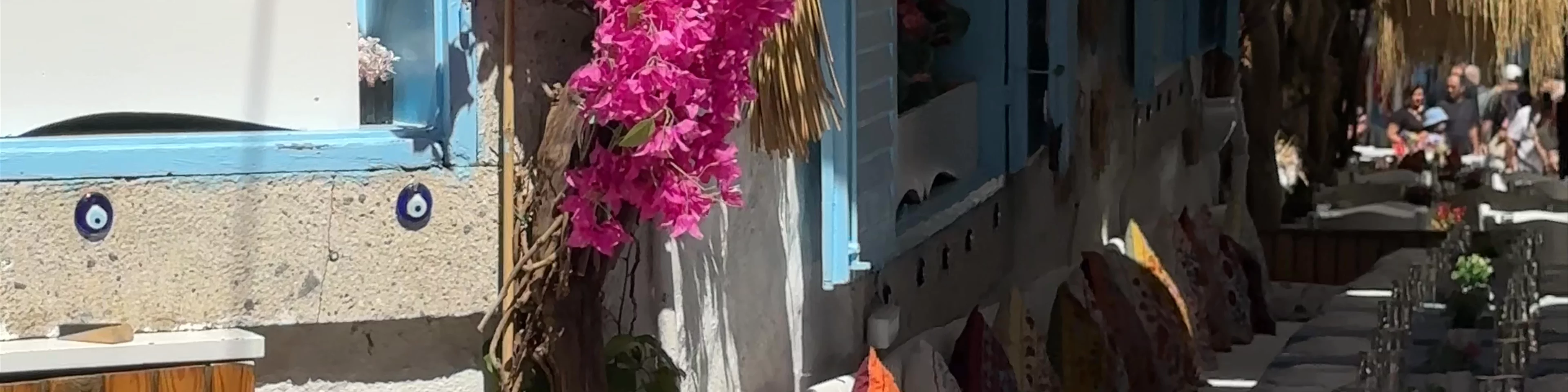 Asmalı Alacatı