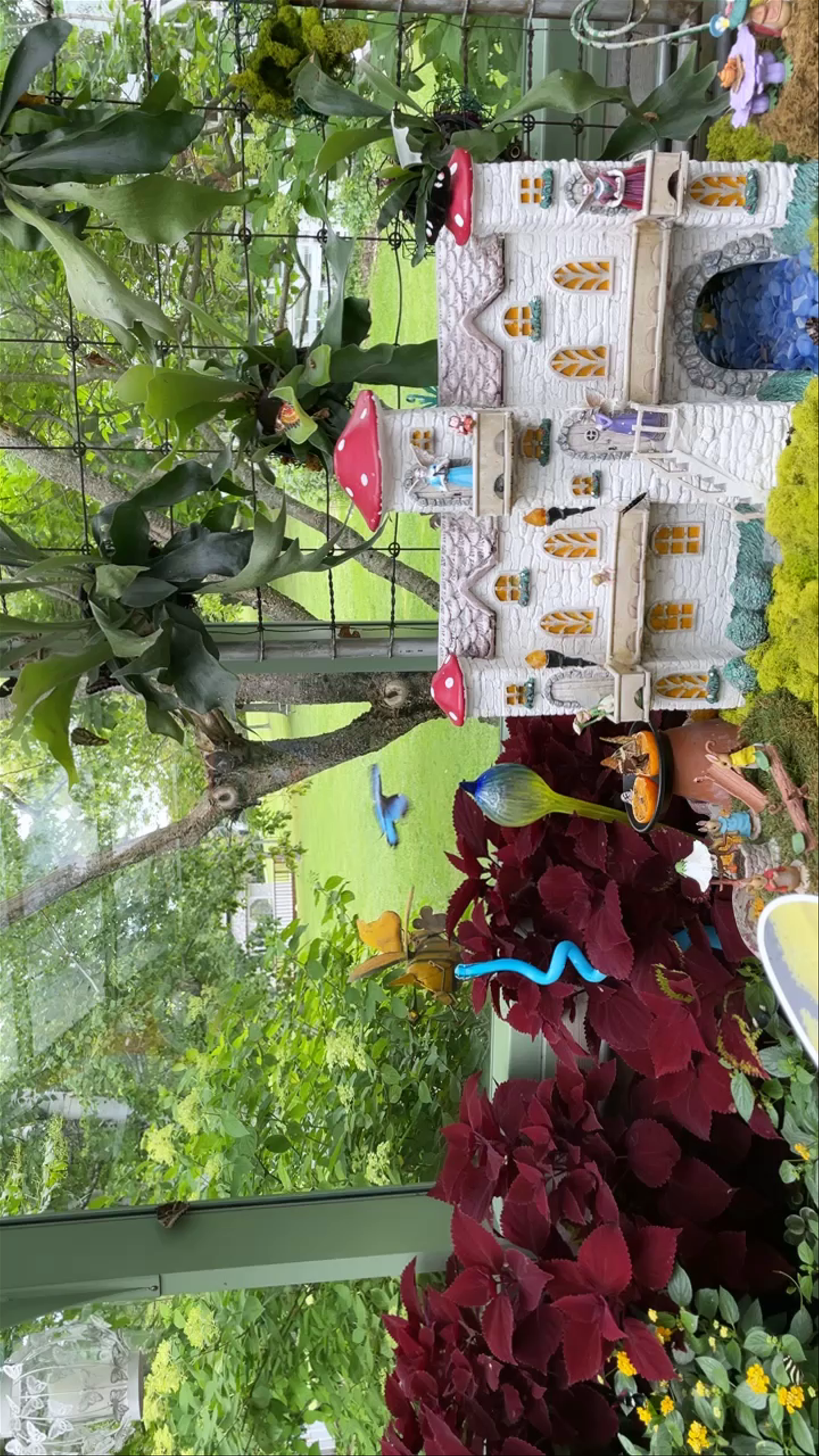 Discover the Magic of The Original Mackinac Island Butterfly House and Insect World