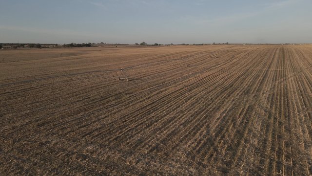 Farming field