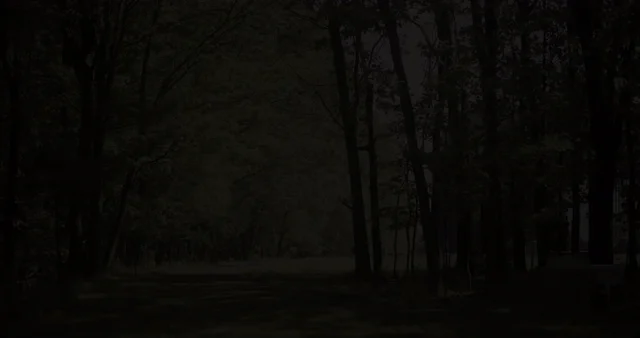 Gather Greene animated preview