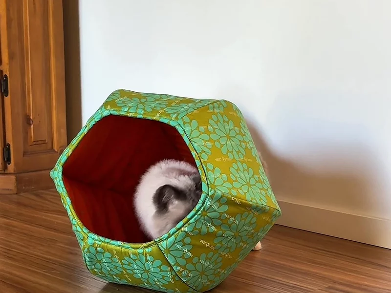 The CatBall