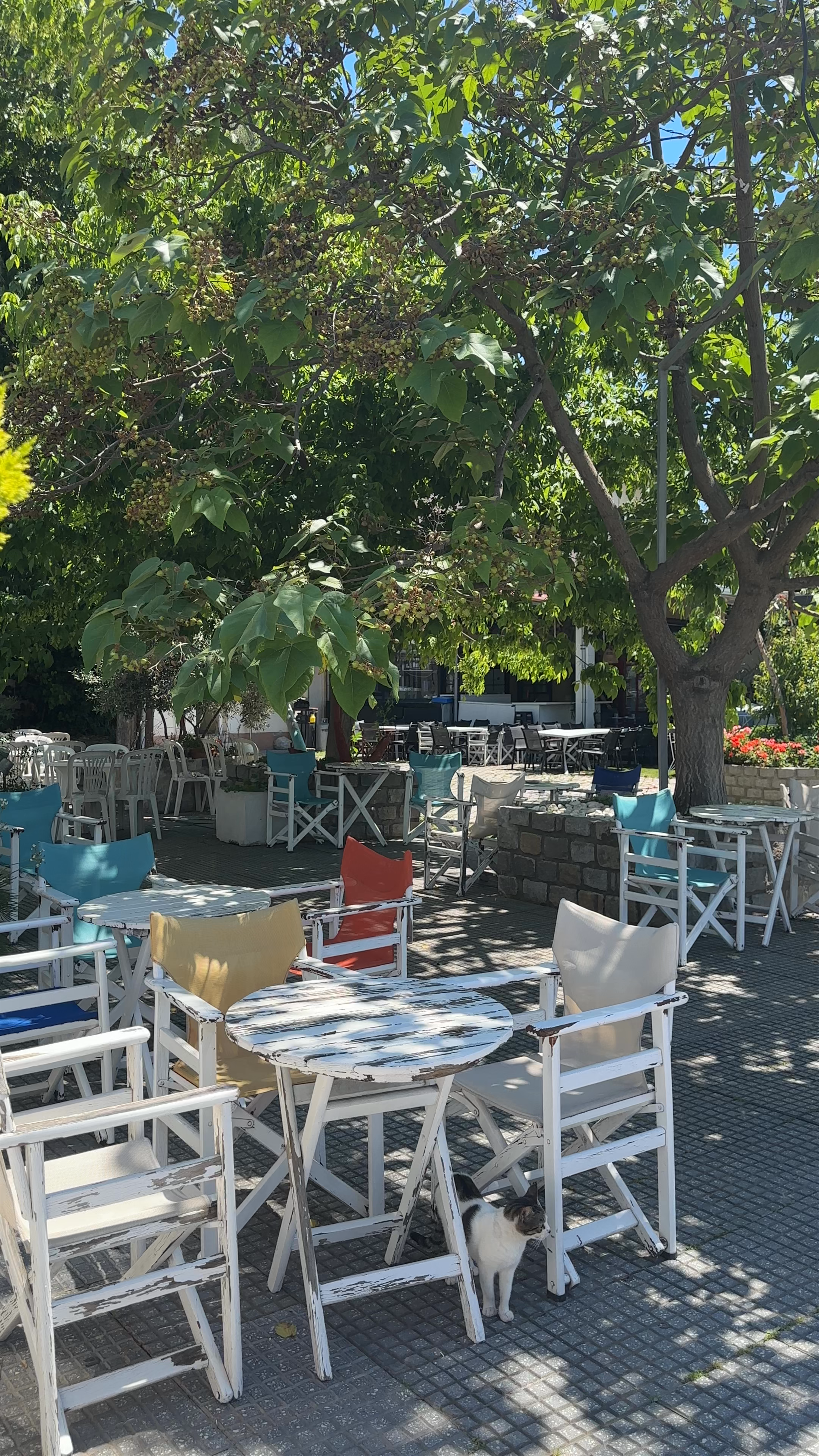 Serene Al Fresco Moments at SeaView Kitchen Bar, Kavala