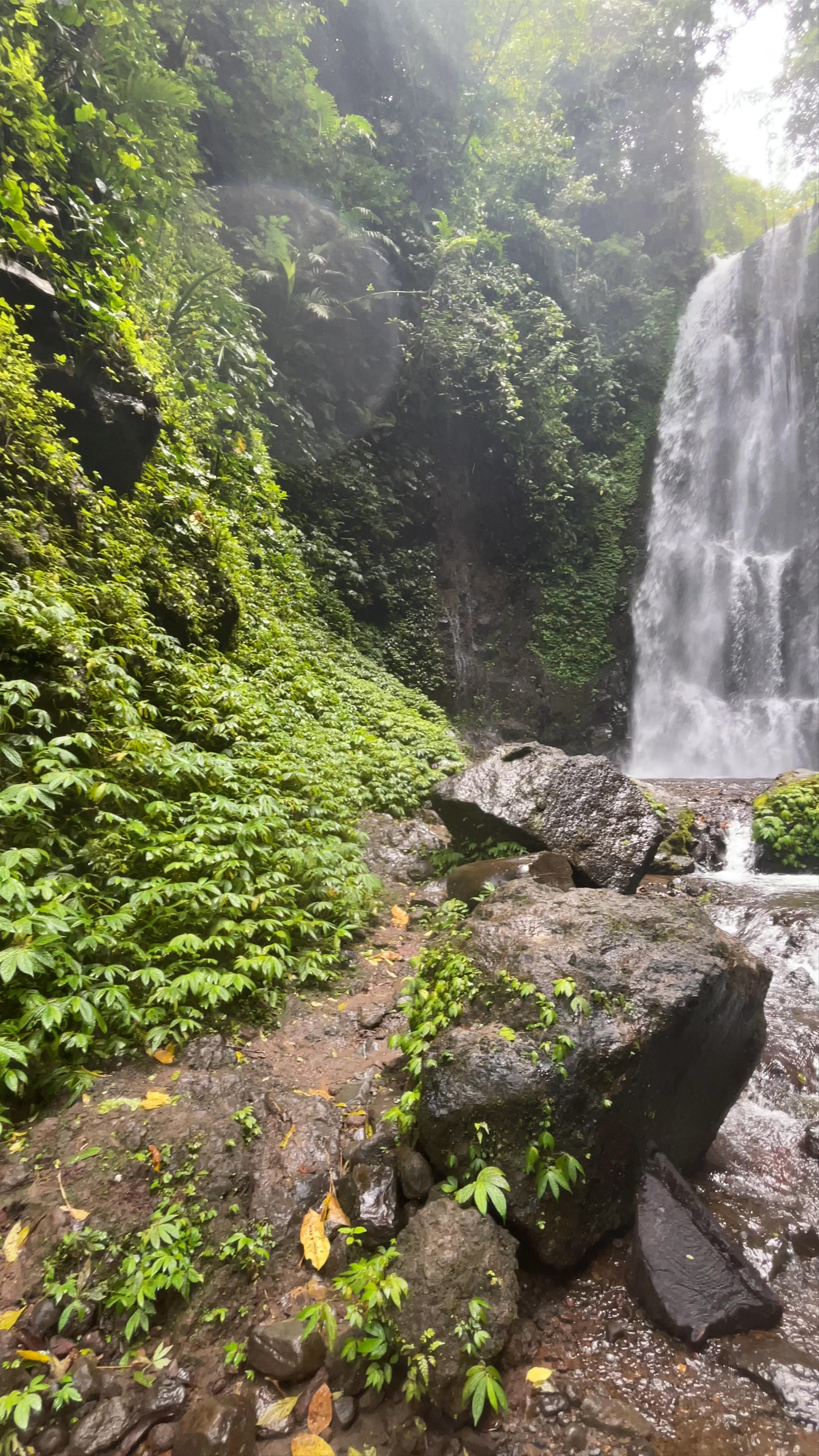 Labuhan Kebo Waterfalls: Hidden Tropical Oasis in Bali's Banyuatis