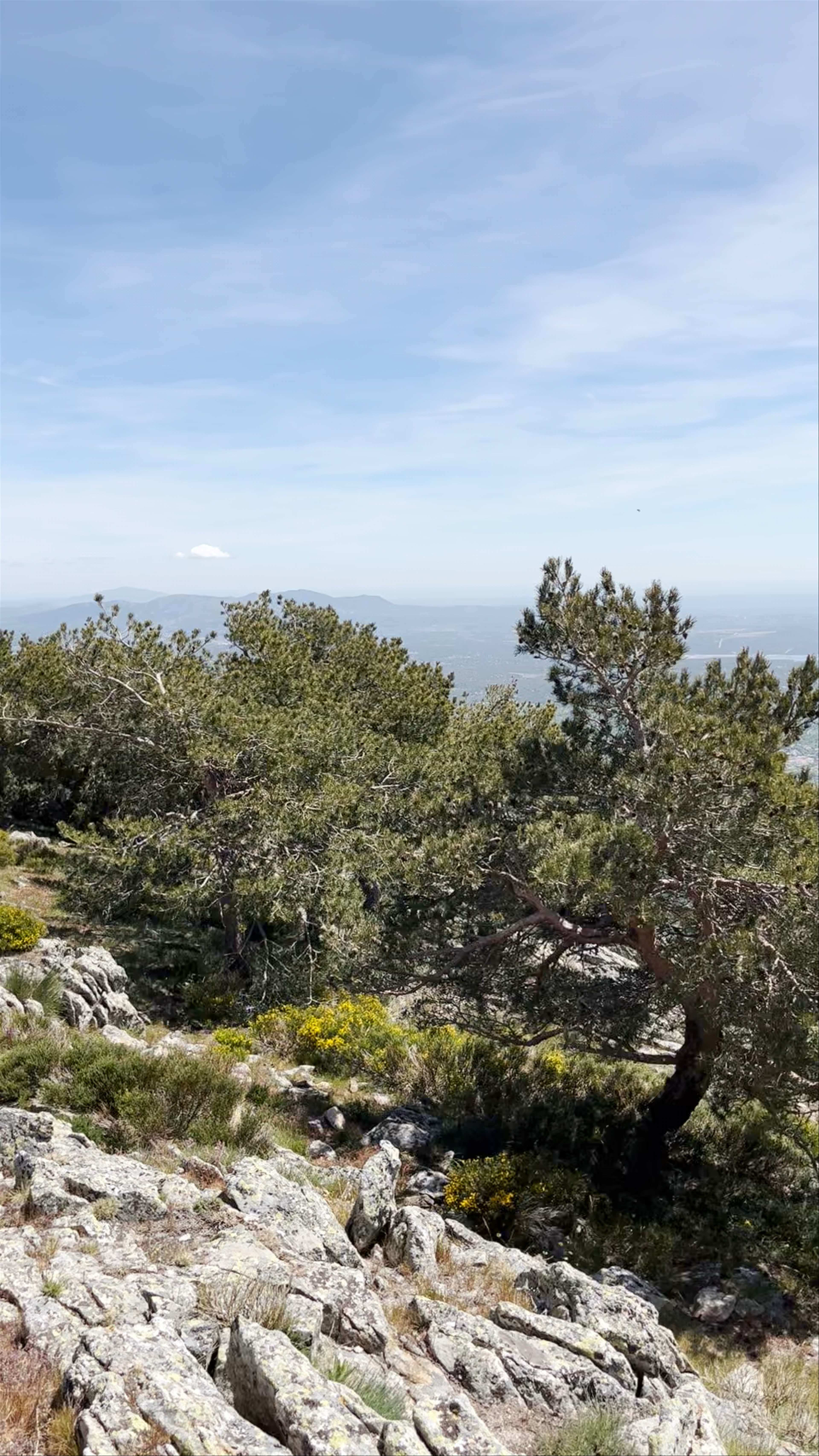 Yacimiento arqueológico del Cerro de las Cabezas