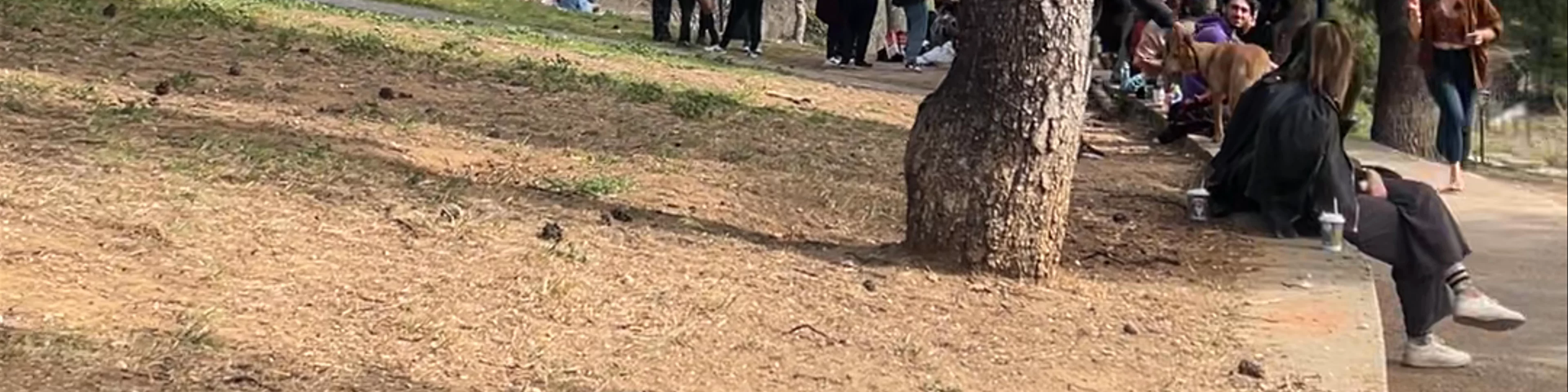 Κήποι του Πασά