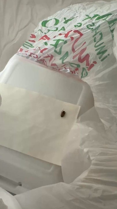 Tequileros Taqueria - This is once I opened the closed bag and it came out. - Mexican Near Me - Lodi, California