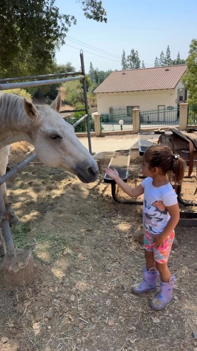 Rancho Vasquez - Brought my daughter to the ranch for some avocados and to pet sweet Coco!!! - Farms Near Me - Azusa, California