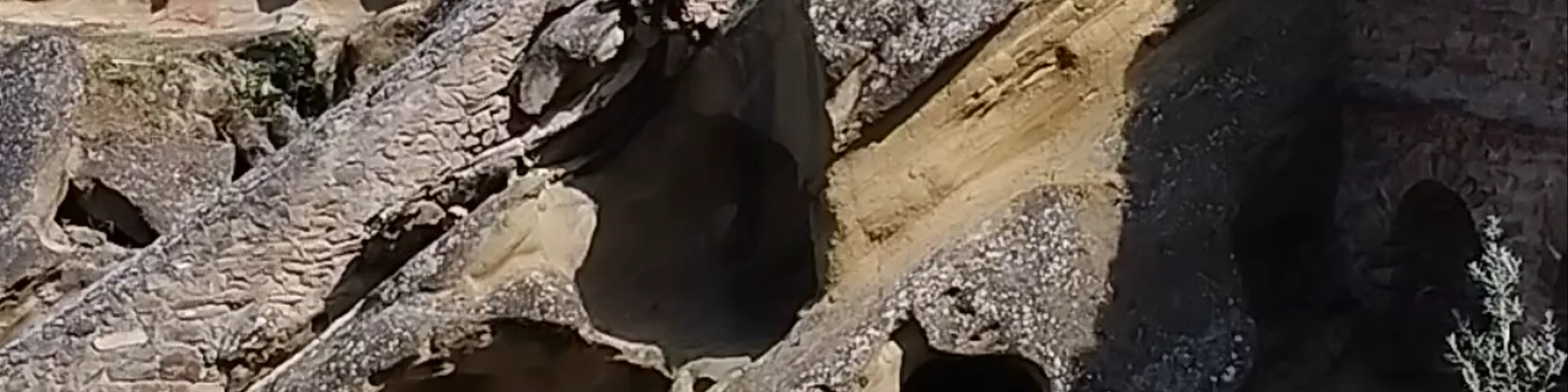 Monastère de la grotte Davit Gareja