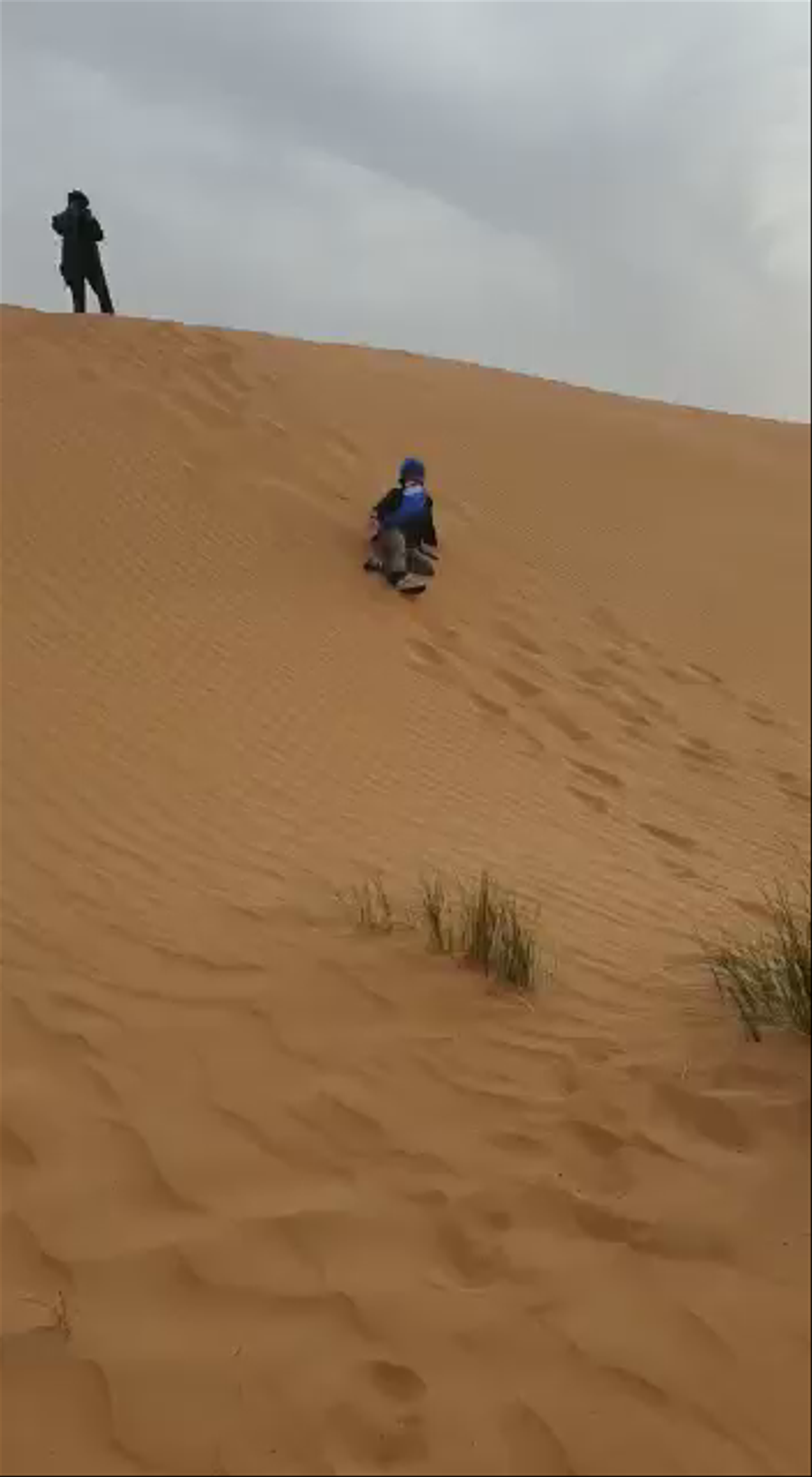 Sahara Desert