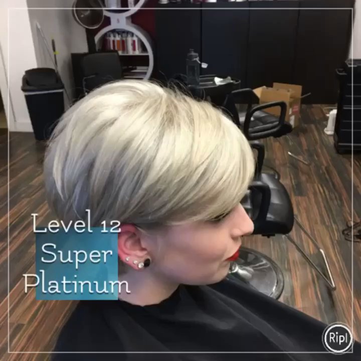 Salon Studio M - Nina from dark red to platinum - Hair Salons Near Me - Manchester, New Hampshire