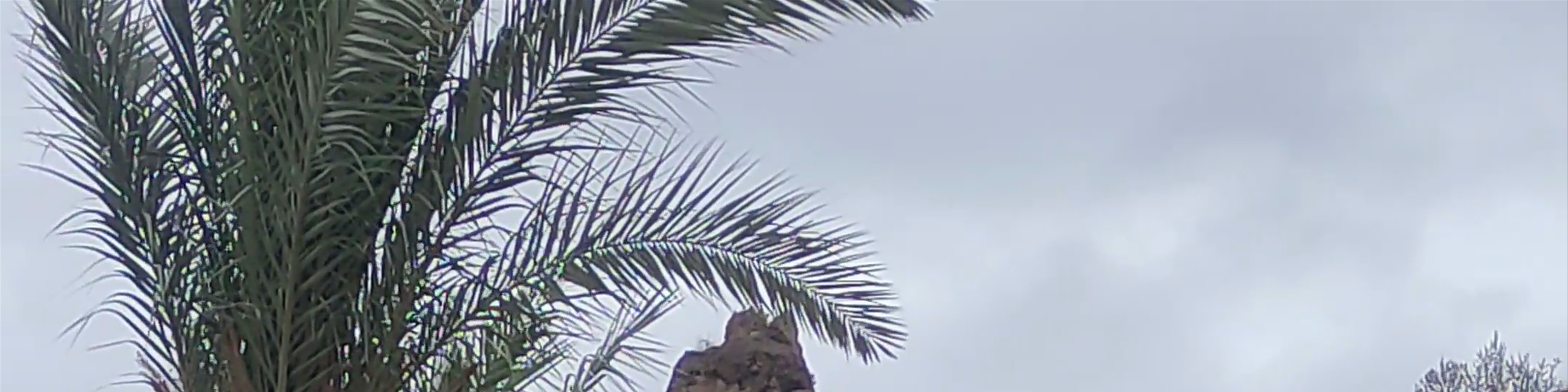 Abarán