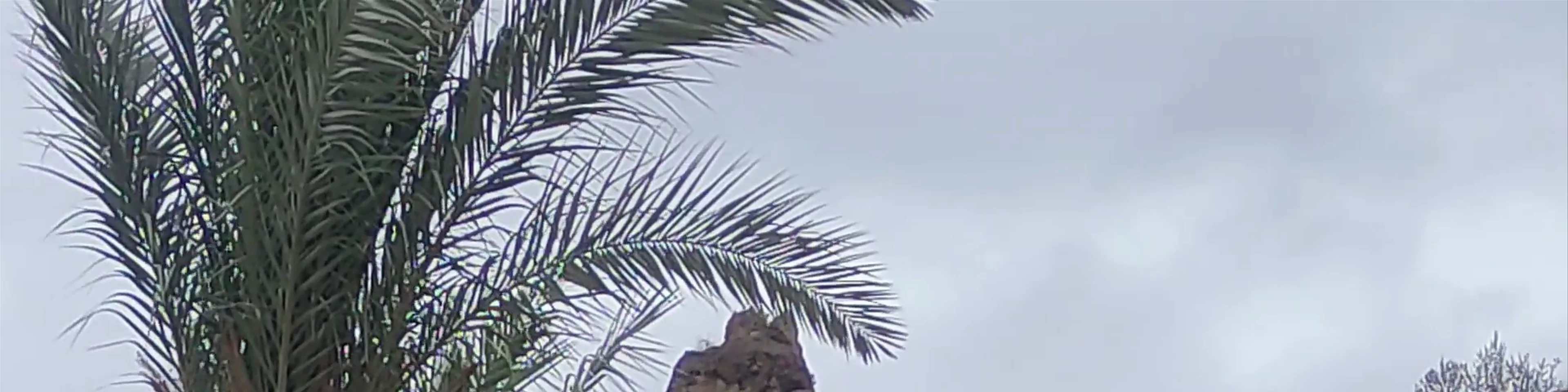 Parque de las Norias