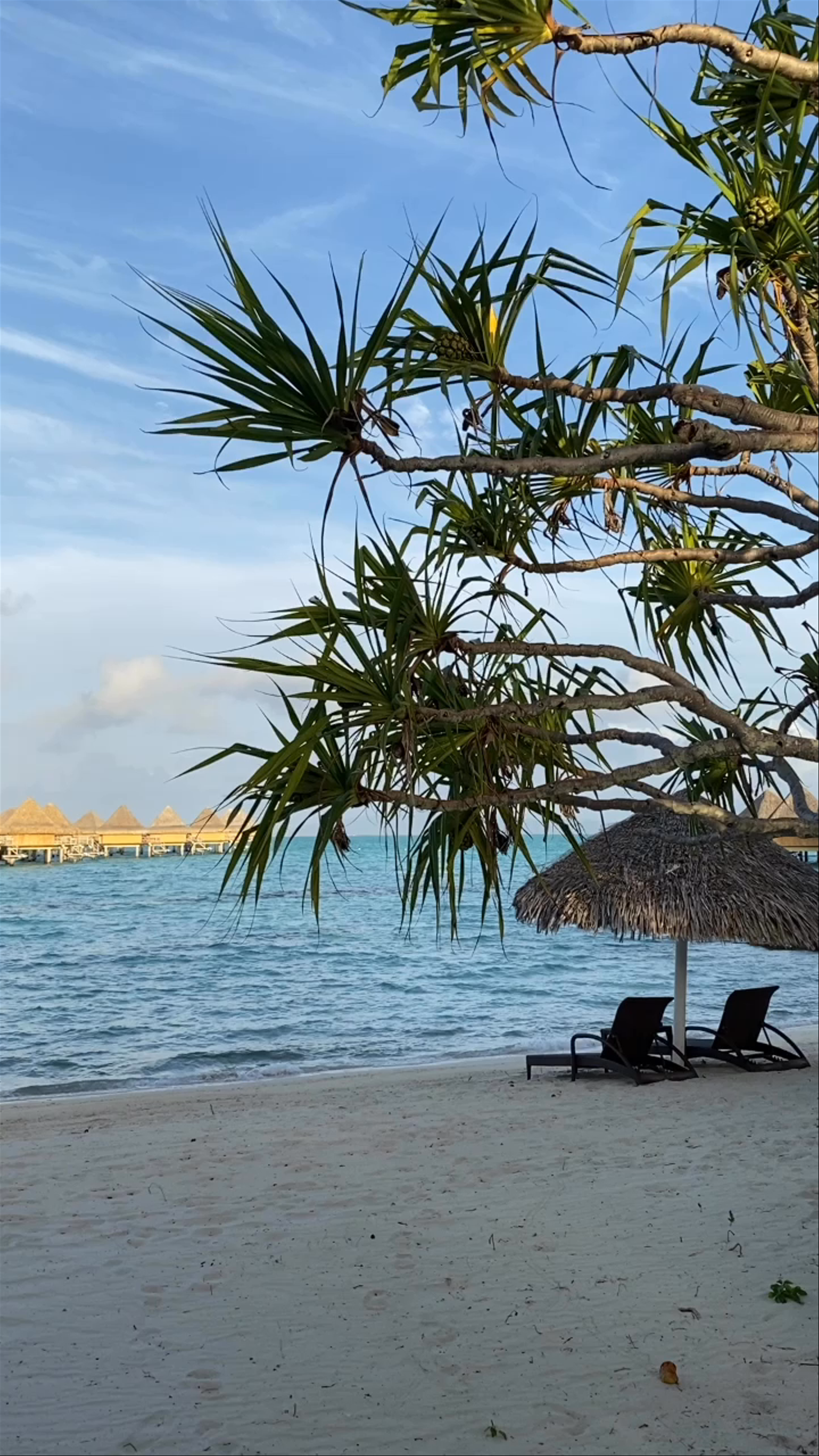 Serene Beachfront Escape at InterContinental Bora Bora Le Moana Resort