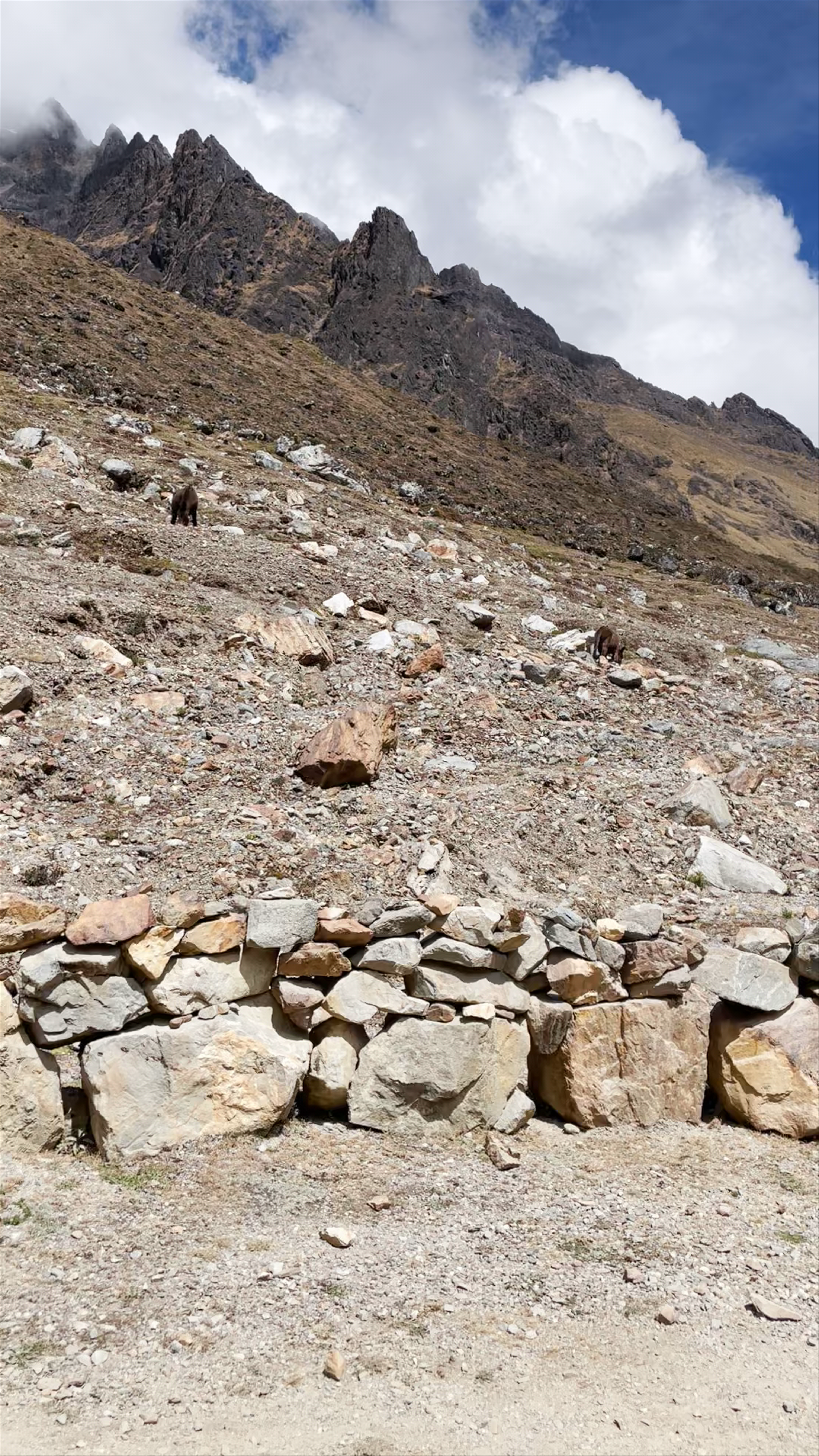 Montaña Salkantay