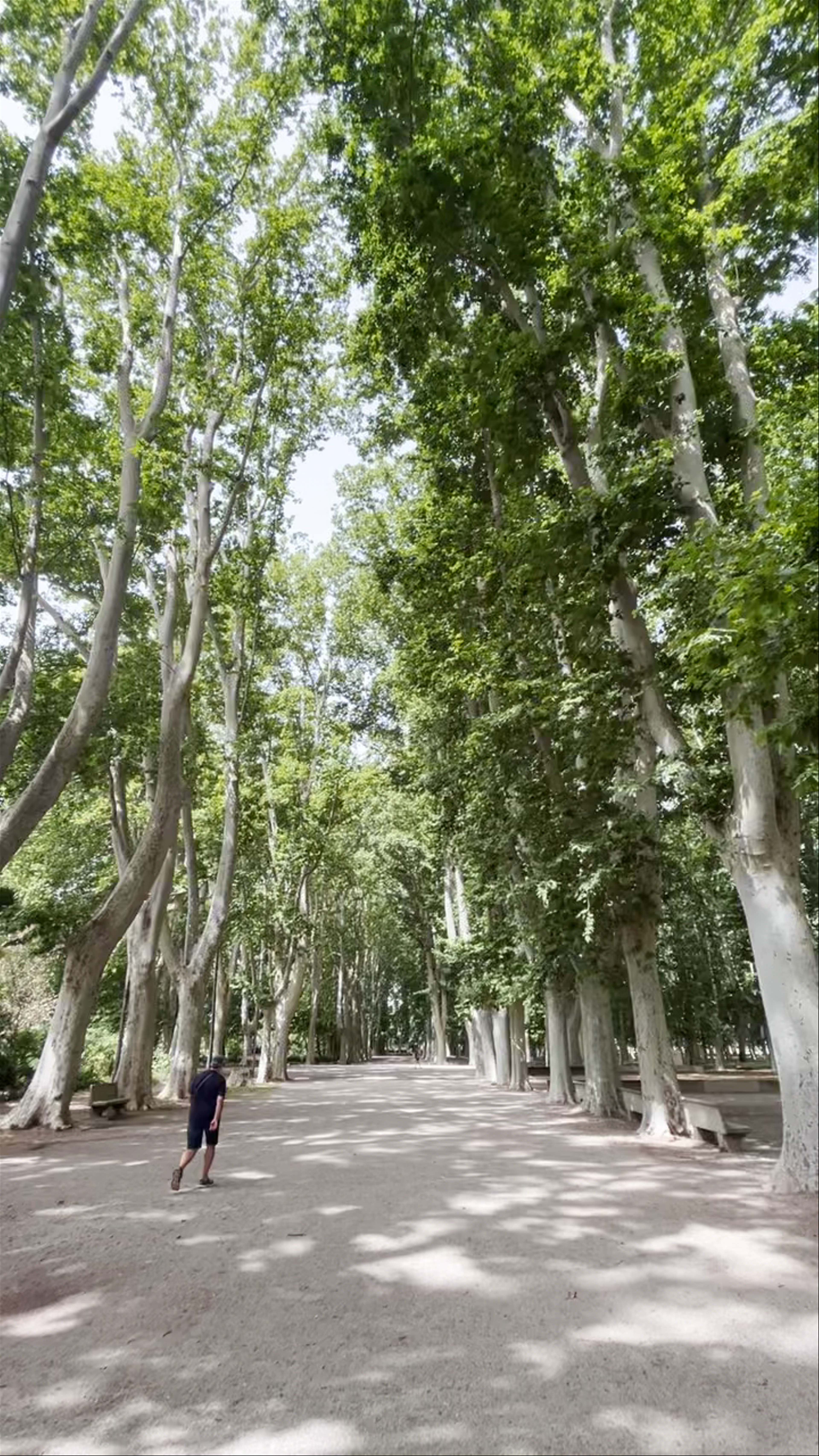 Parc de la Devesa