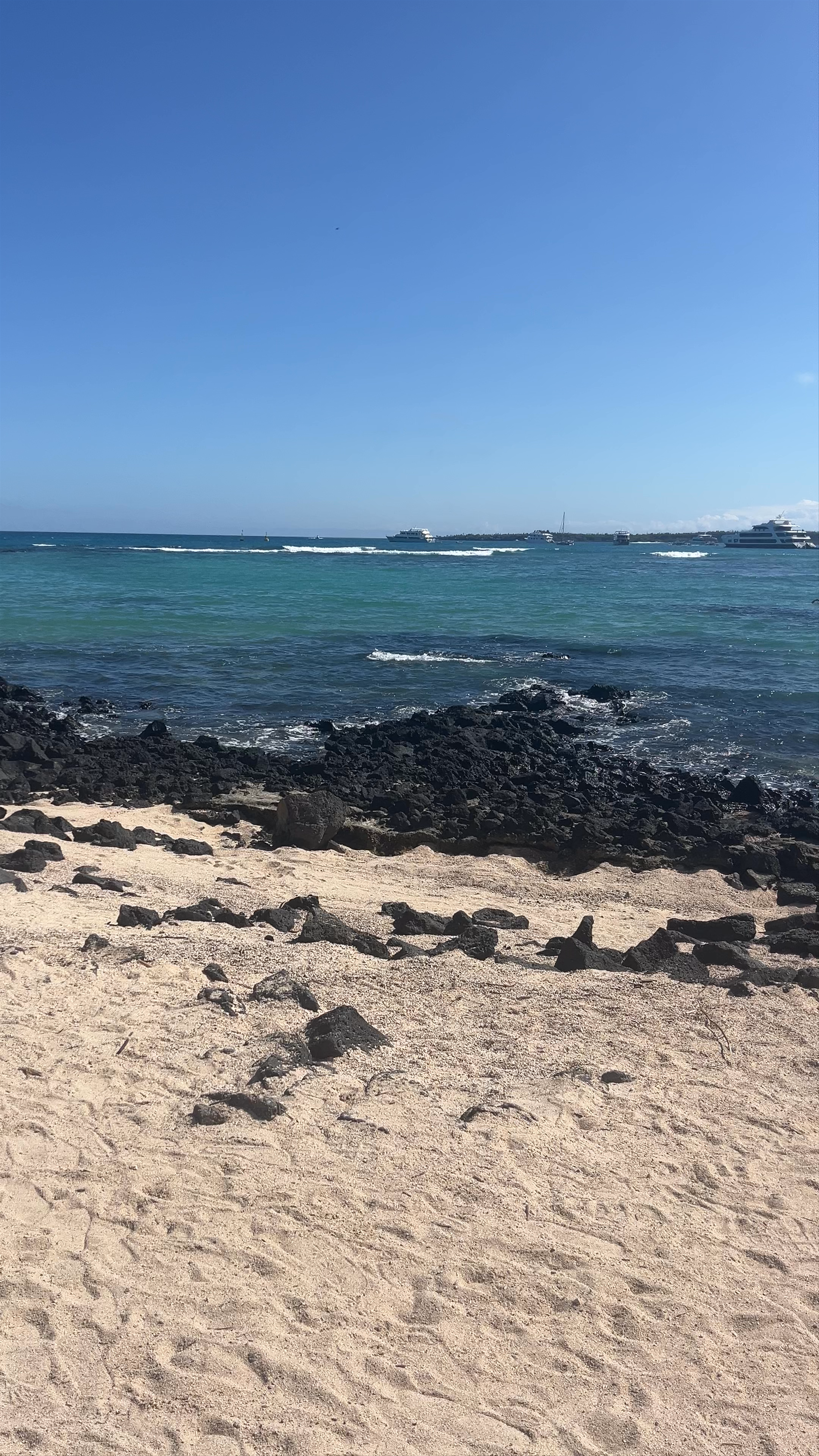 Playa de la Estación: Serene Coastal Escape in Puerto Ayora, Galápagos