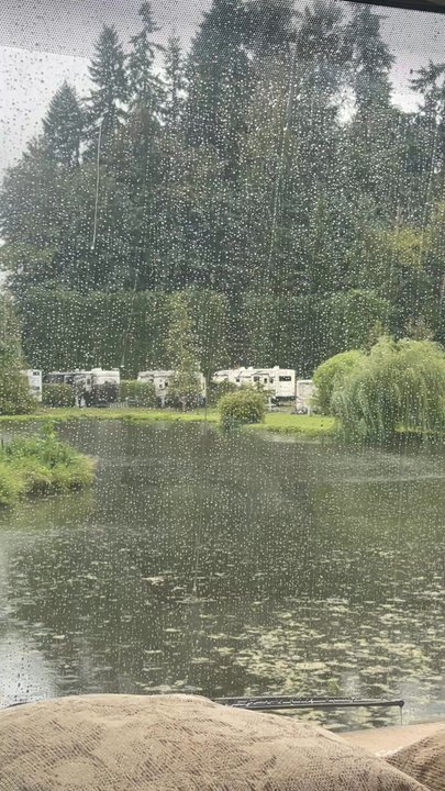 Lake Pleasant RV Park - View from our motor home looking out to the lake, rain coming down - August 15, 2025 - RV Parks Near Me - Bothell, Washington