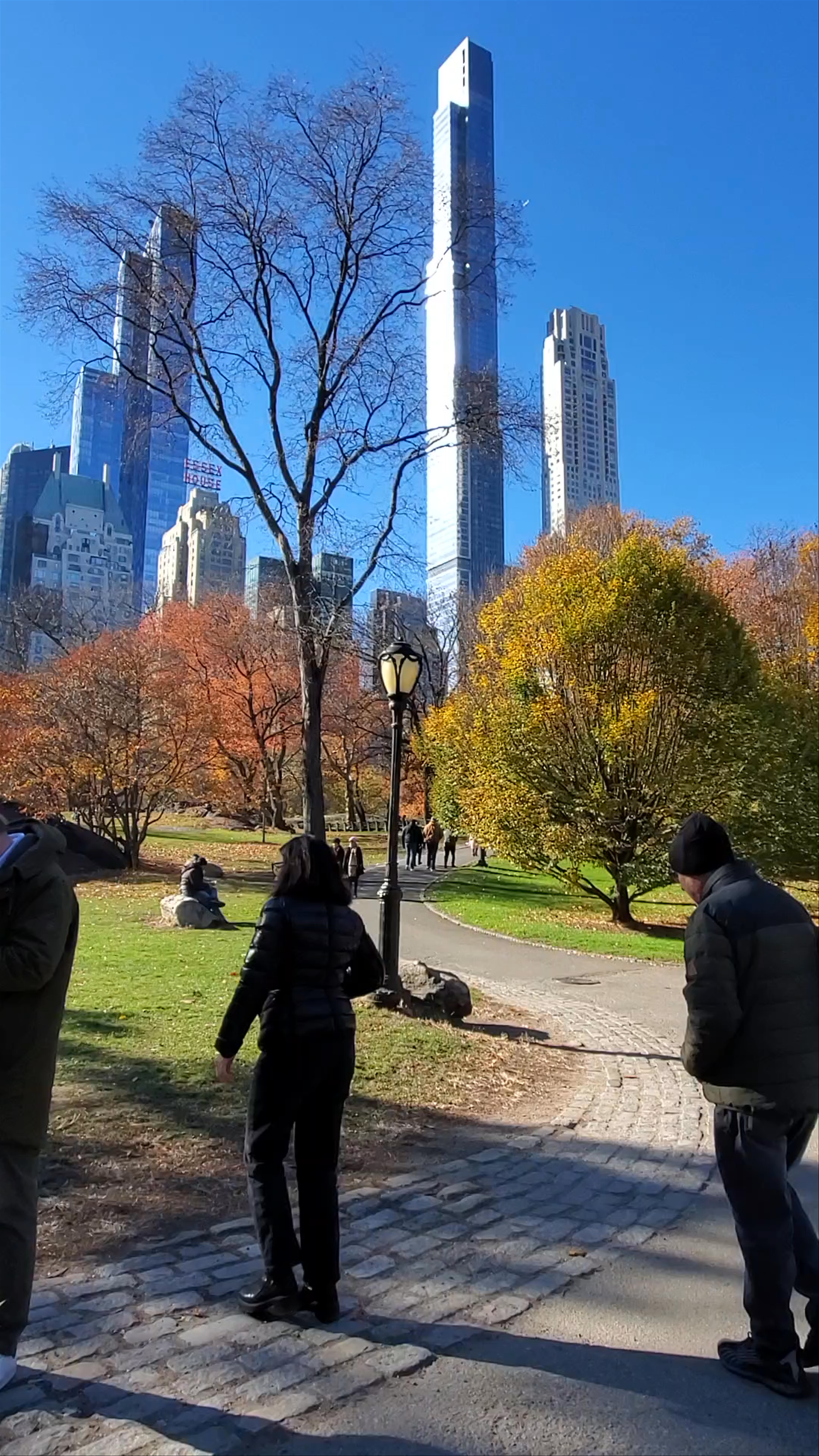 Central Park Escape: Autumn Serenity Amid New York’s Skyline