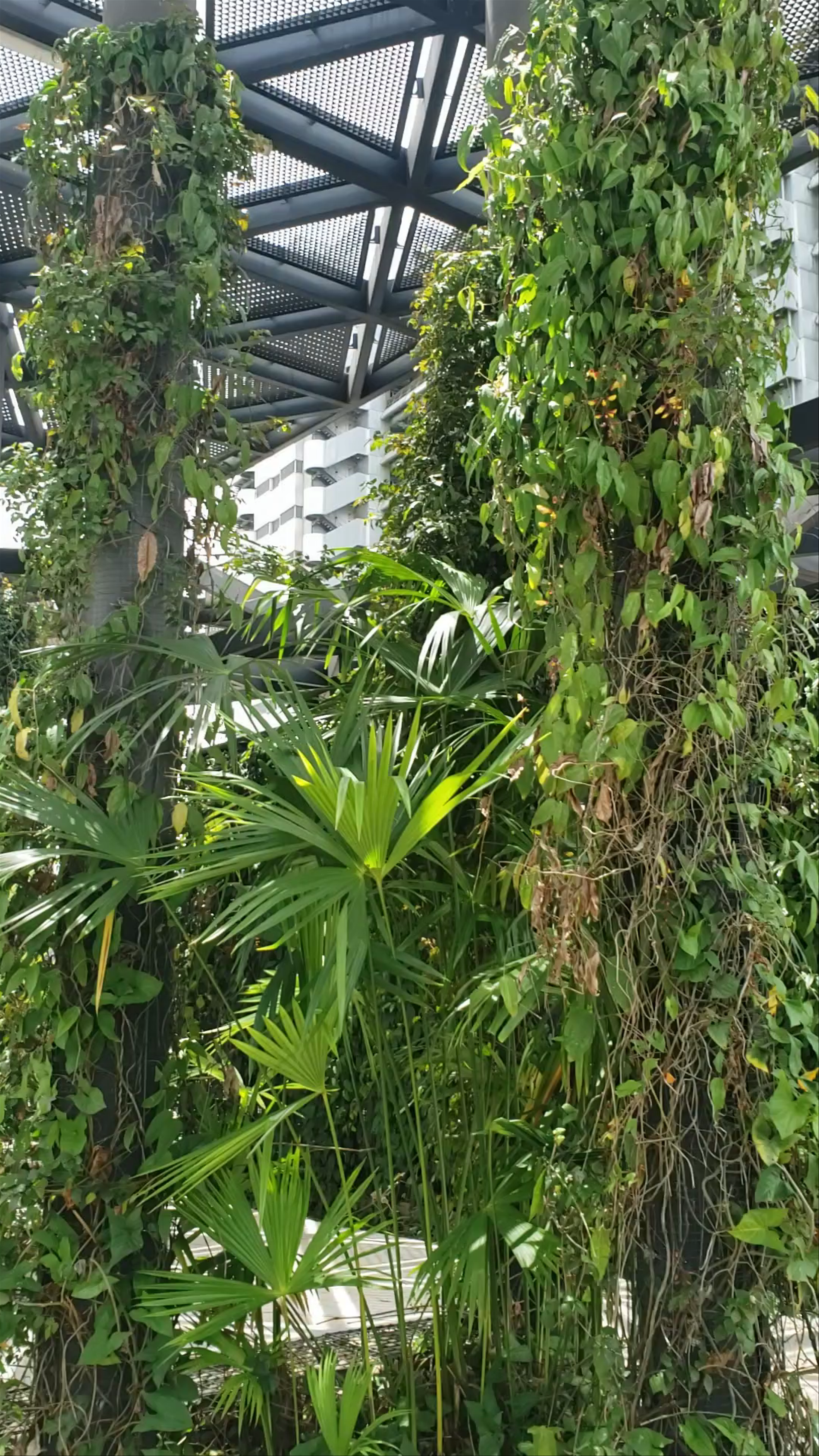 Parques del Río Medellín