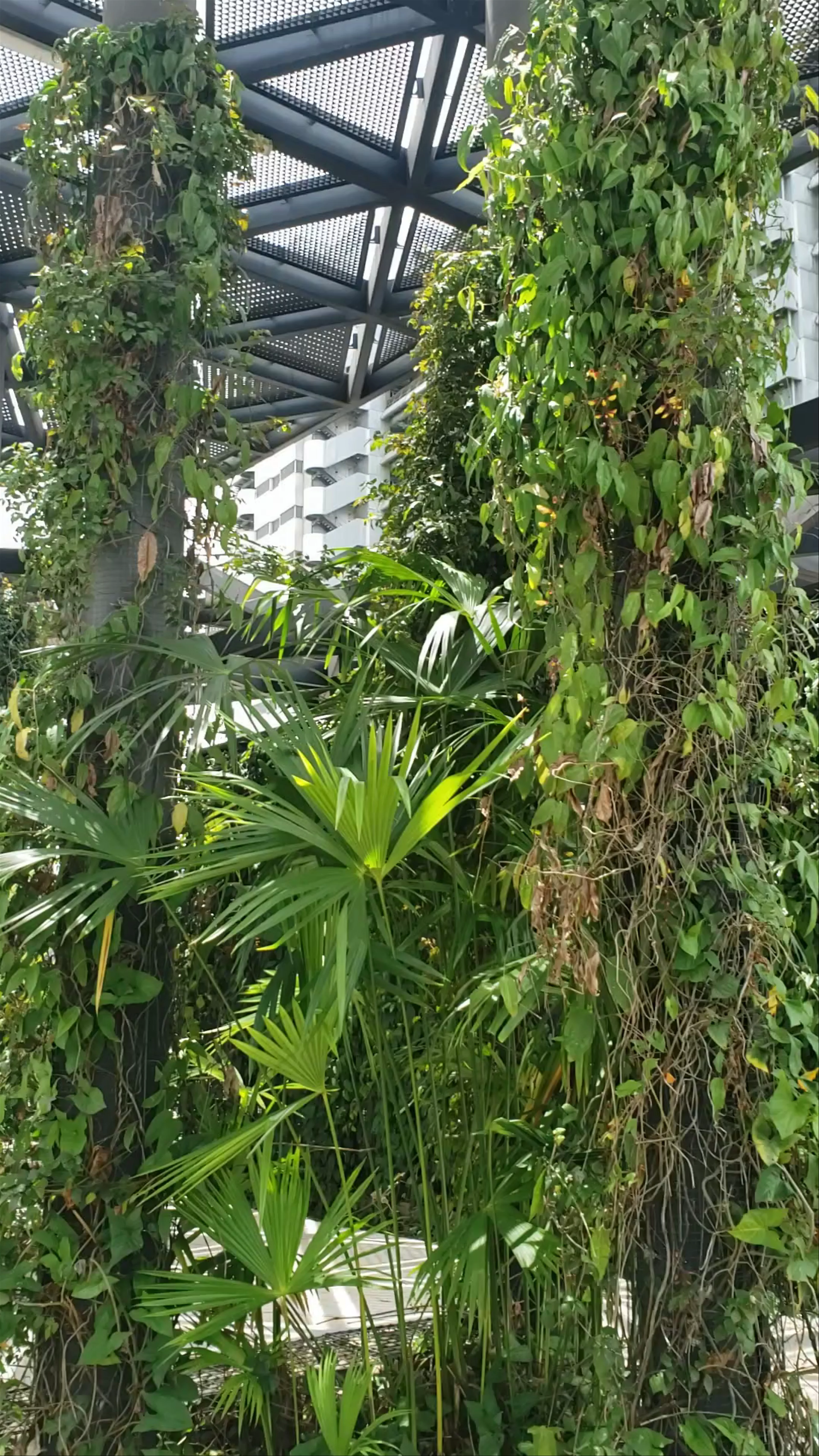 Parques del Río Medellín