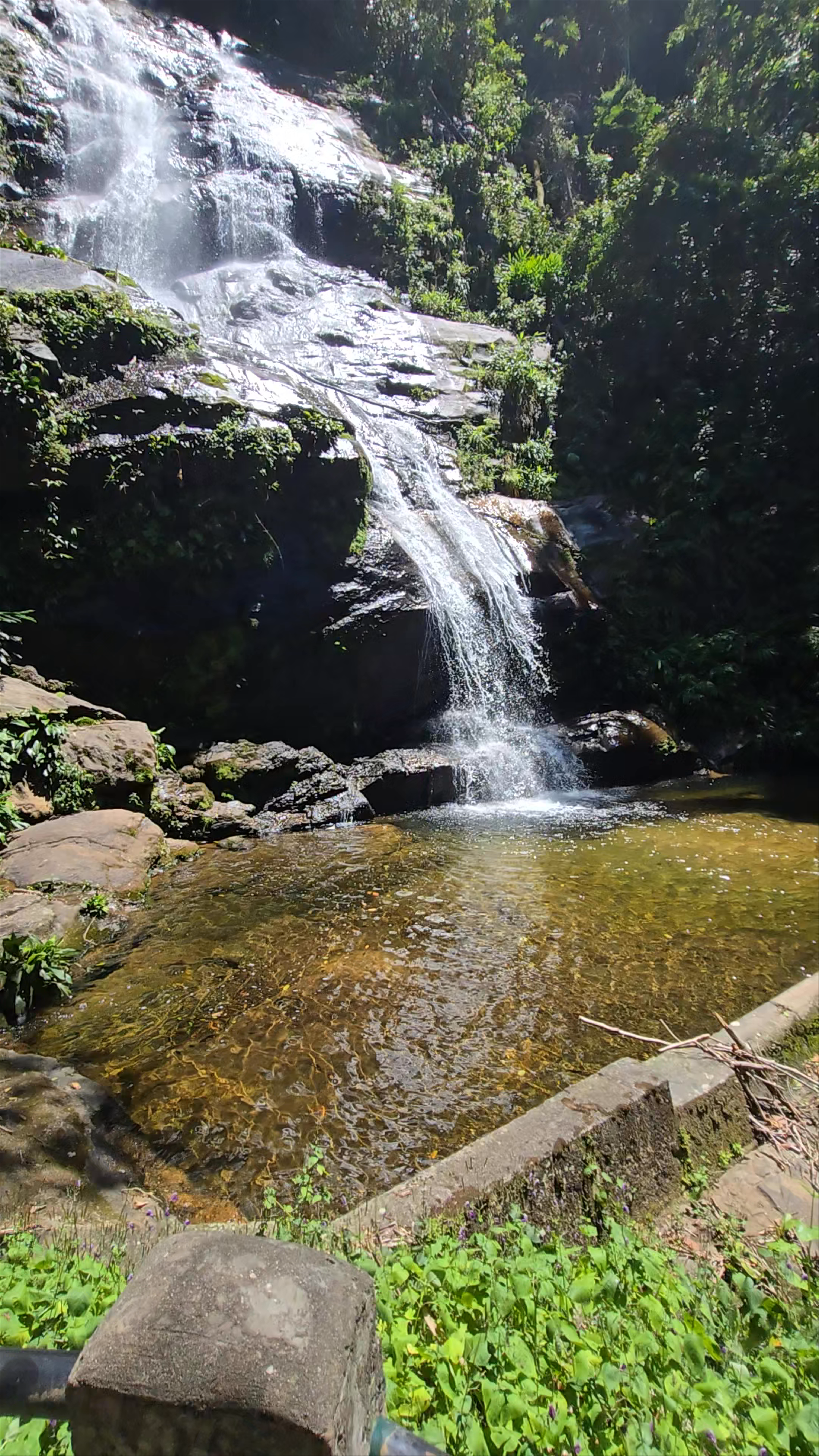 Tijuca National Park