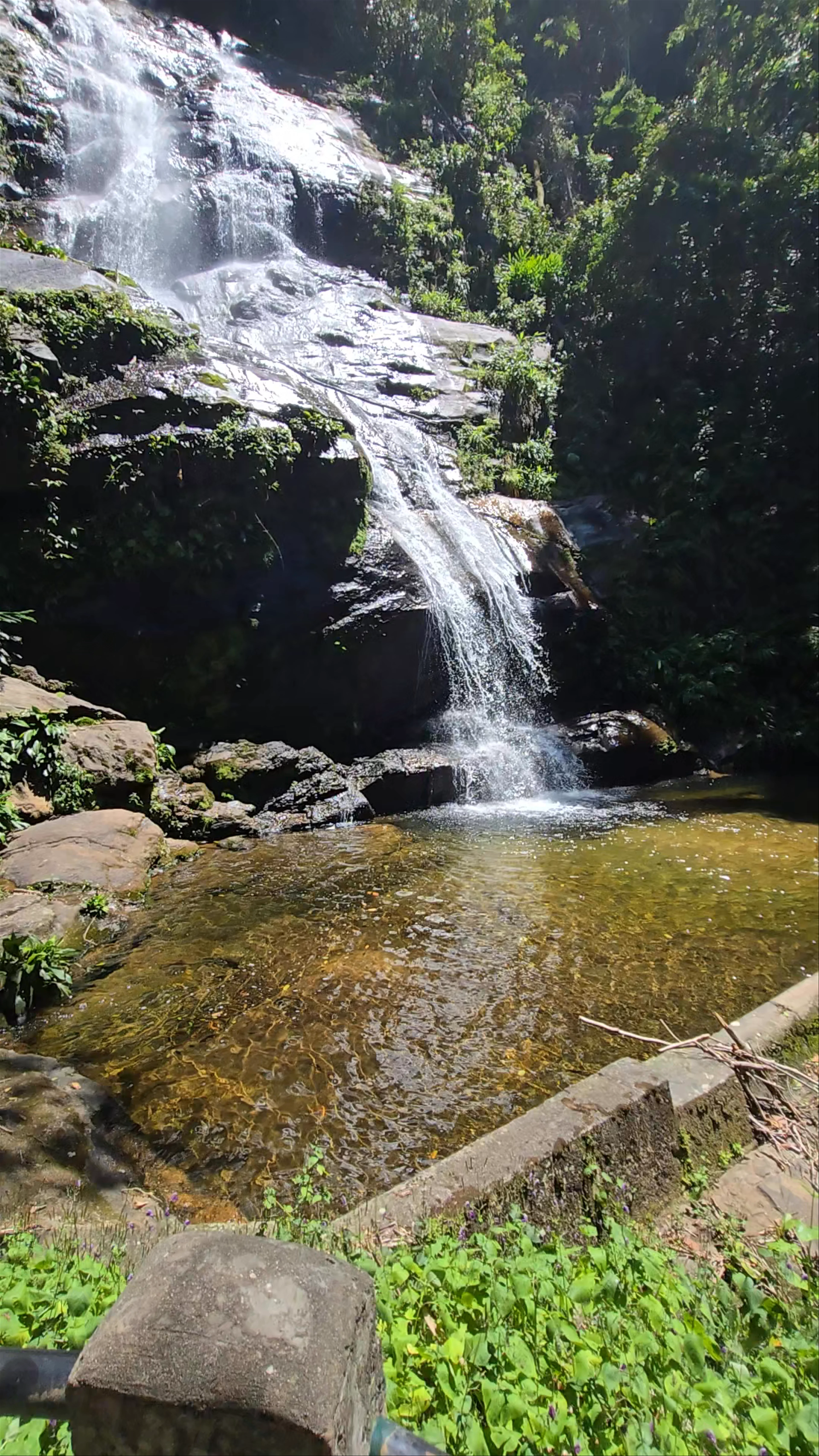 Tijuca National Park, Santa Teresa - Estrada das Paineiras - Alto da Boa Vista