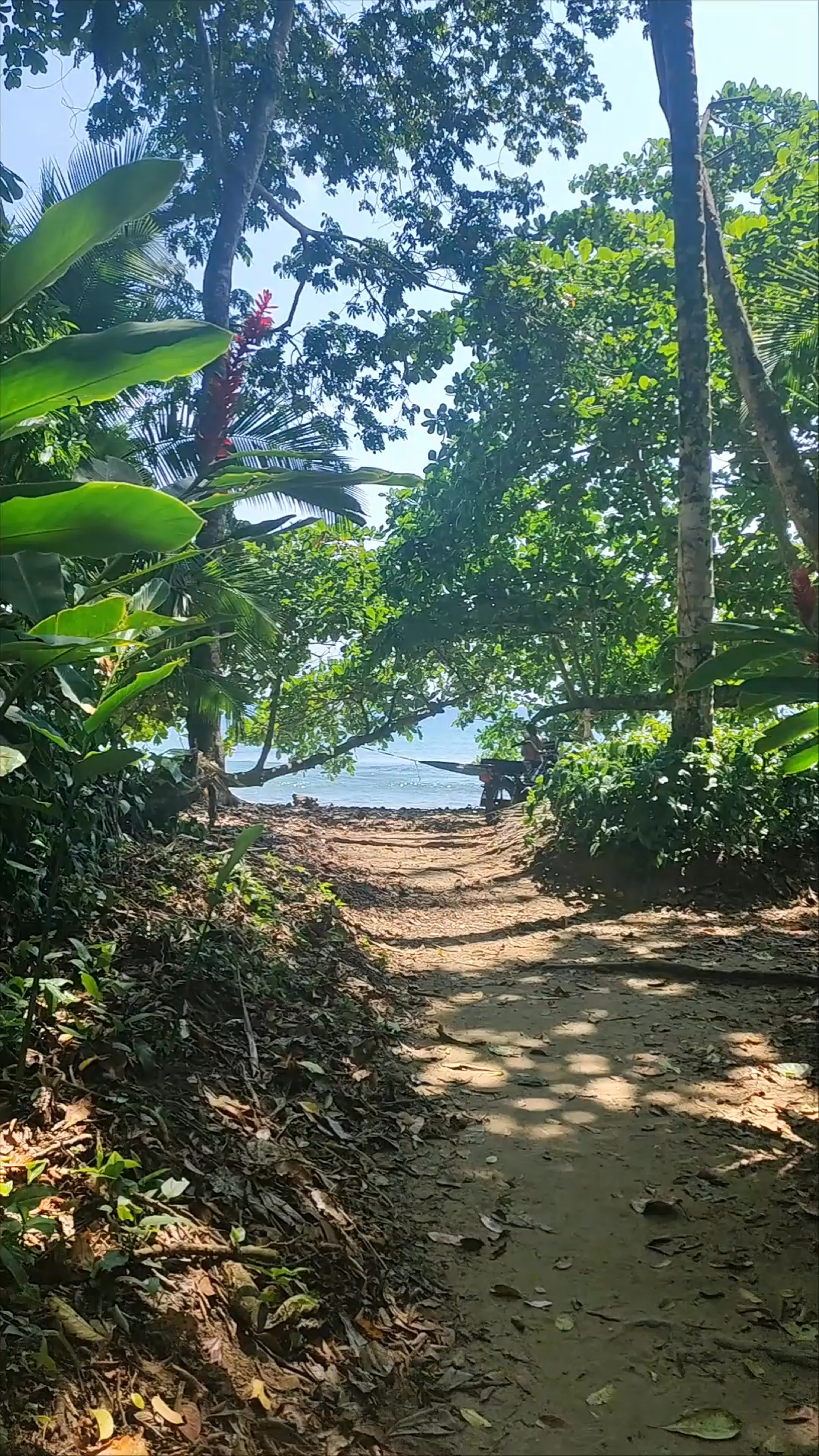 Playa Chiquita