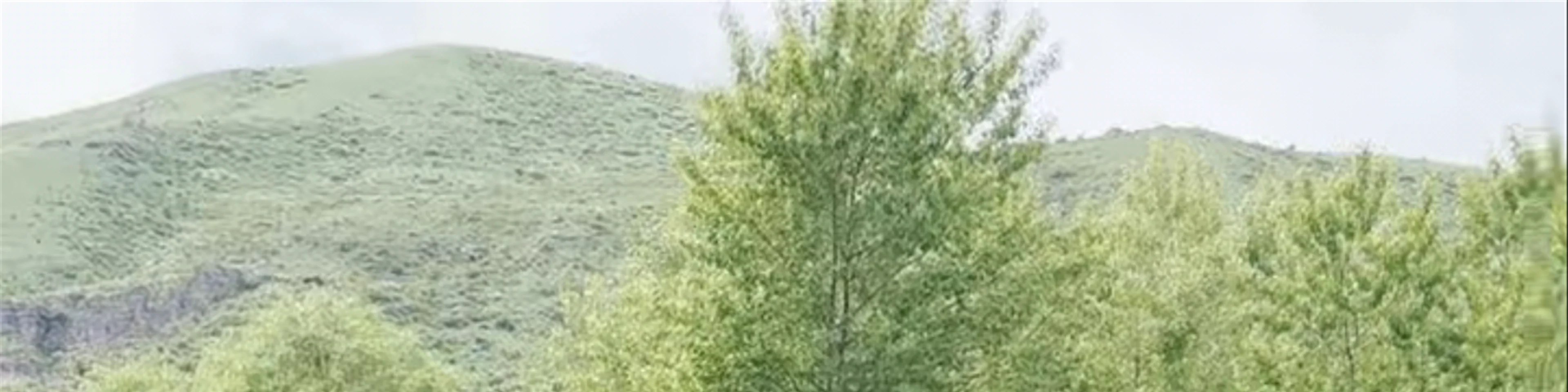 Khertvisi Bridge