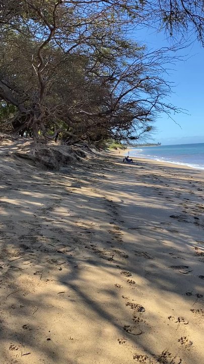 Sugar Beach - Beaches Near Me - Kihei, Hawaii