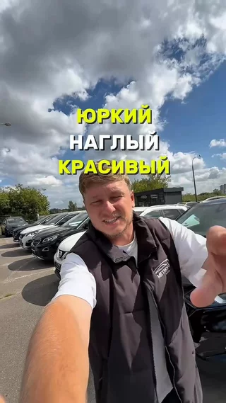 Юркий наглый красивый