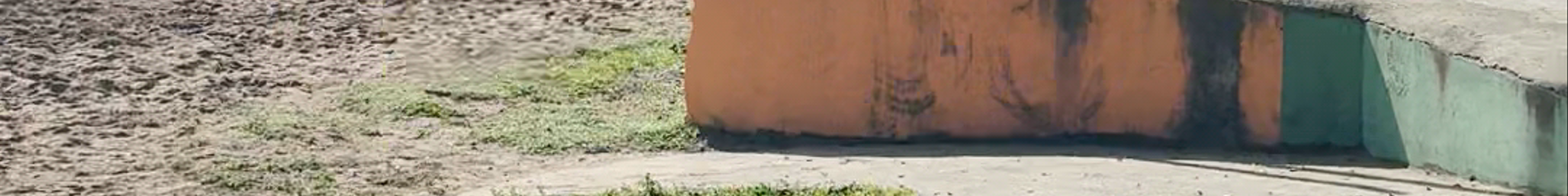 Tours & experiences in Limón