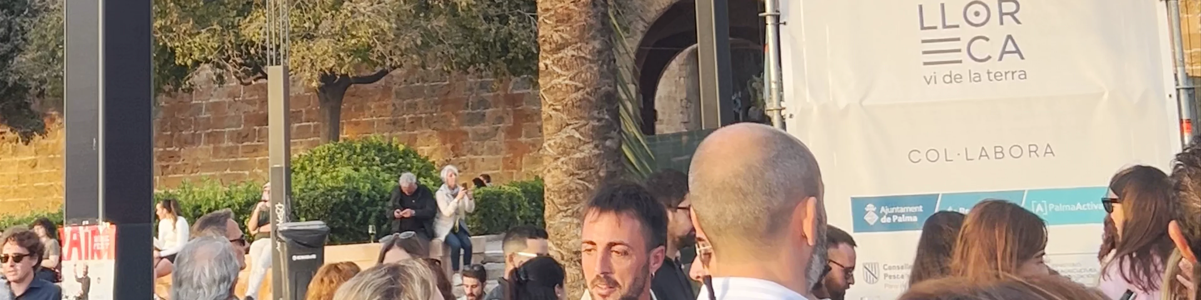 Passeig de dalt Murada