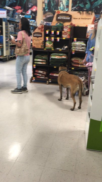 PetSmart - Long lines on a weekend and only 2 registers open. Standard petsmart protocol in my experience. - Pet Training Near Me - Gulfport, Mississippi