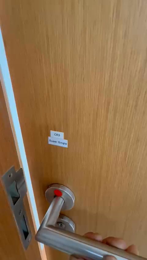 Common Room (Condo) for Rent in  The Peak @ Balmeg - Image 8