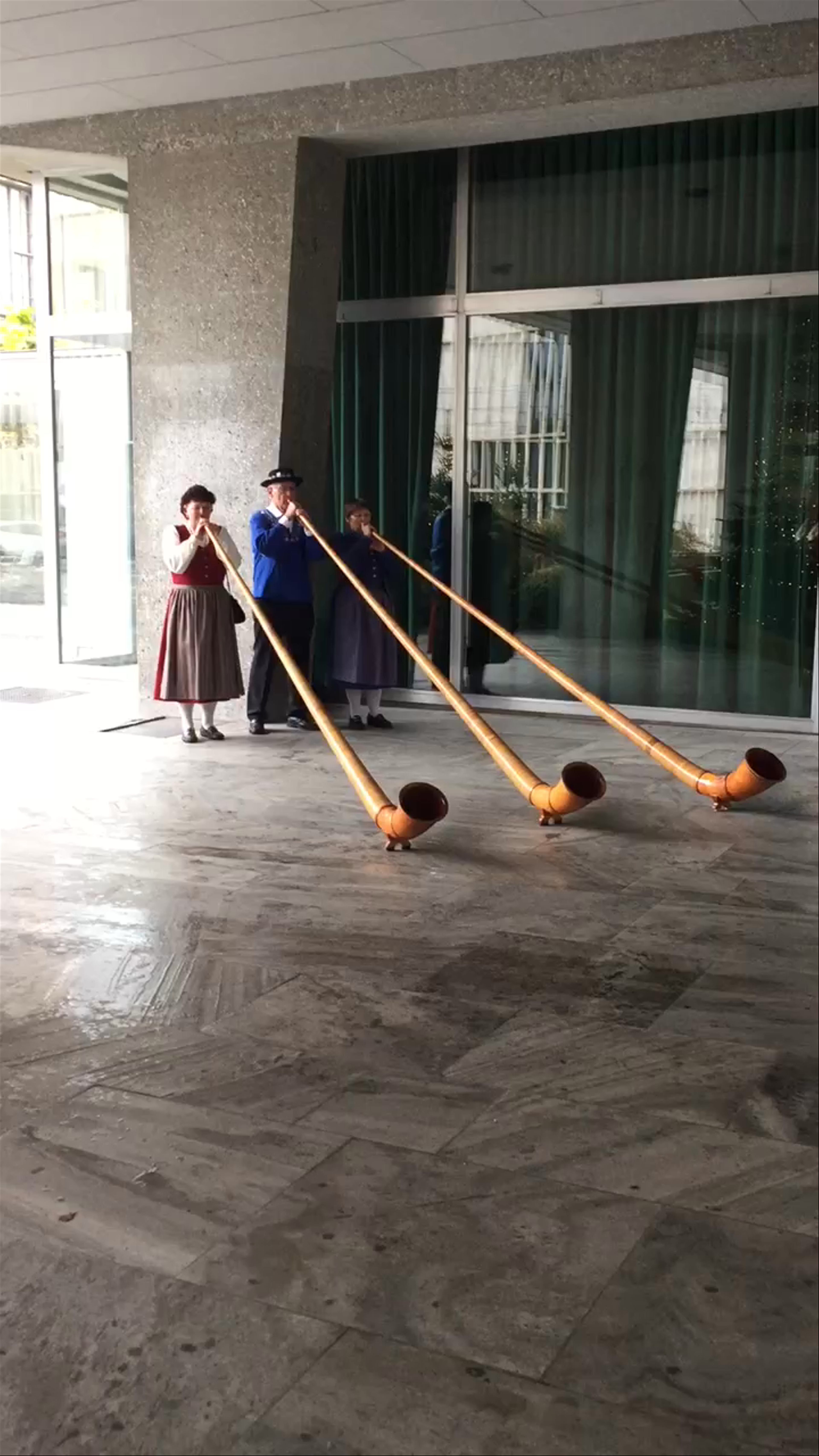 Traditional Alphorn Performance on Niederdorfstrasse, Zurich
