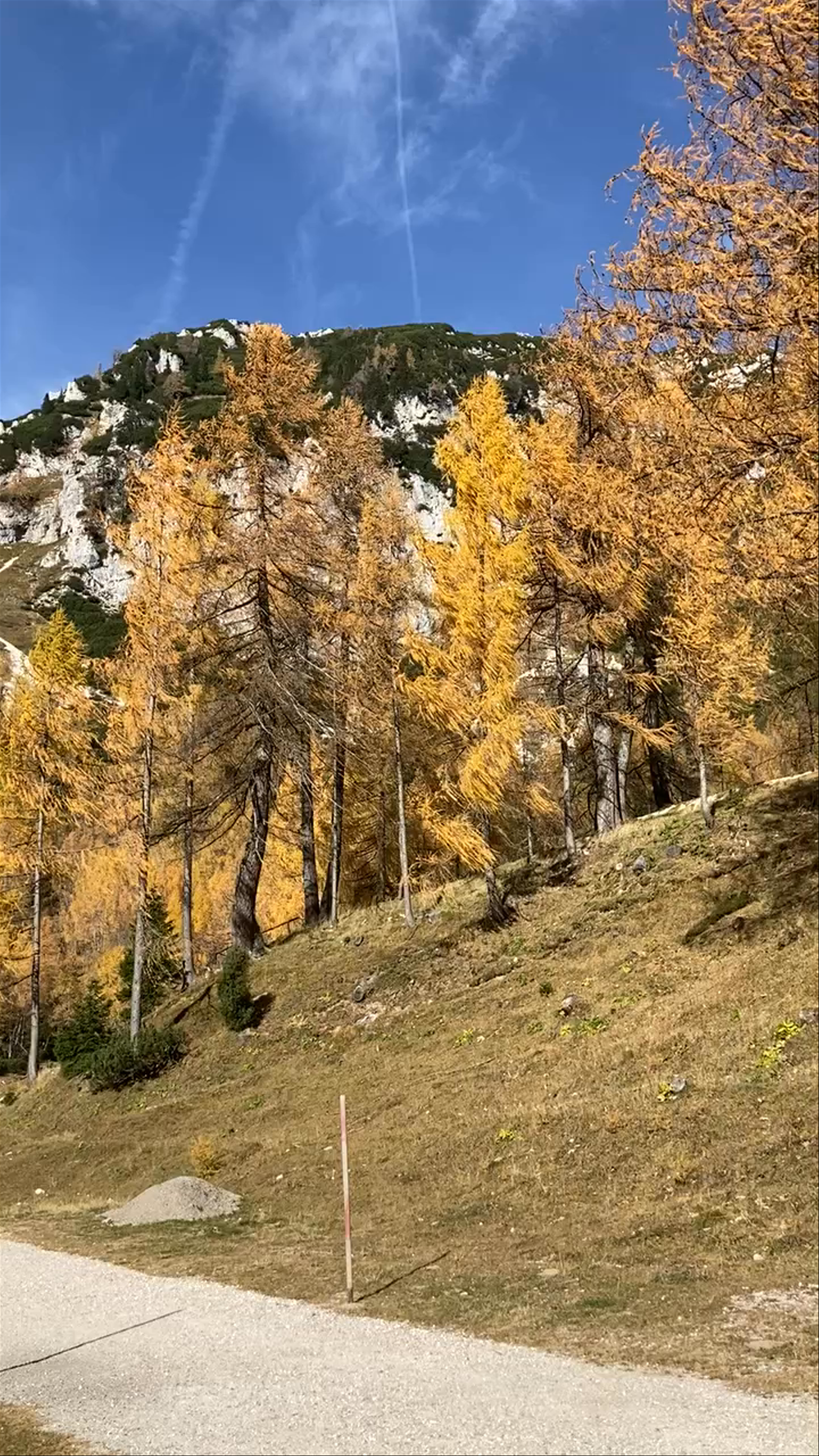 Autumn Splendor at Viewpoint Supca in Soča, Slovenia