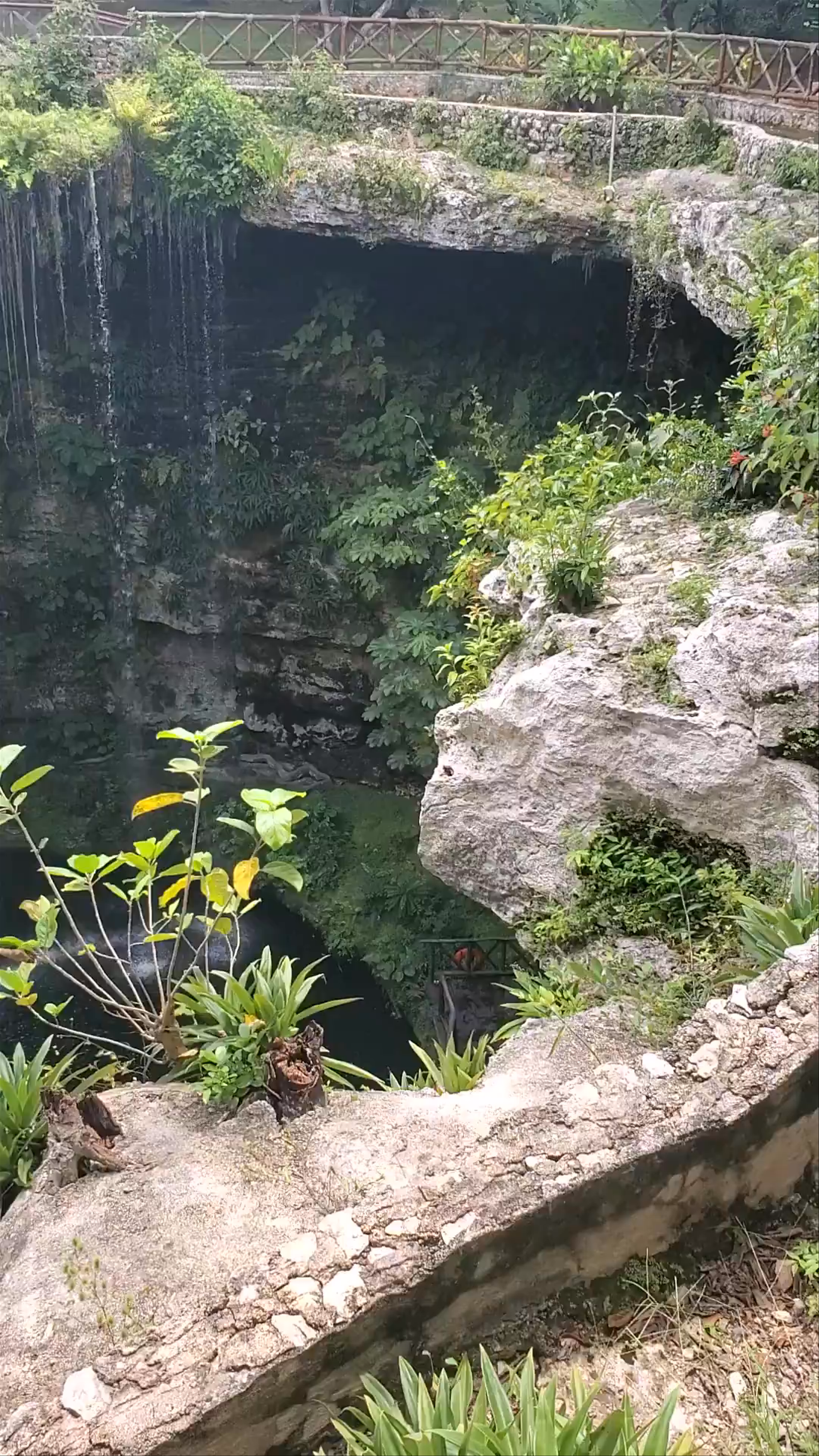 Hacienda Cenote Oxmán: A Mystical Natural Sinkhole in Valladolid