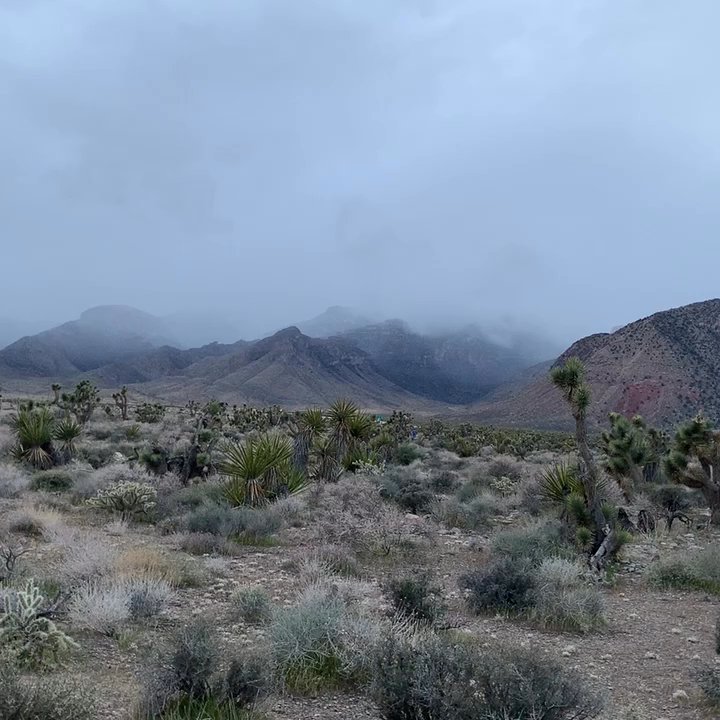 Late Night Trailhead - Snowing in the mountains - Hiking Near Me - Blue Diamond, Nevada