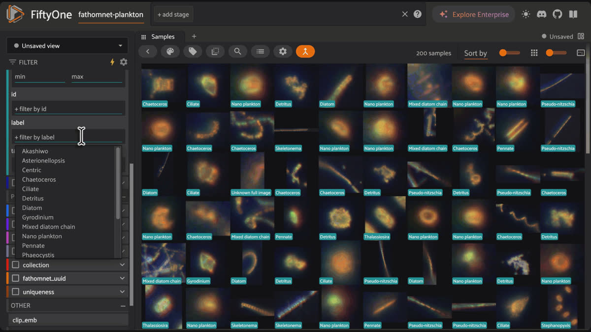 Filtering FathomNet plankton crops by label in the FiftyOne App sidebar, then opening a single Ciliate sample