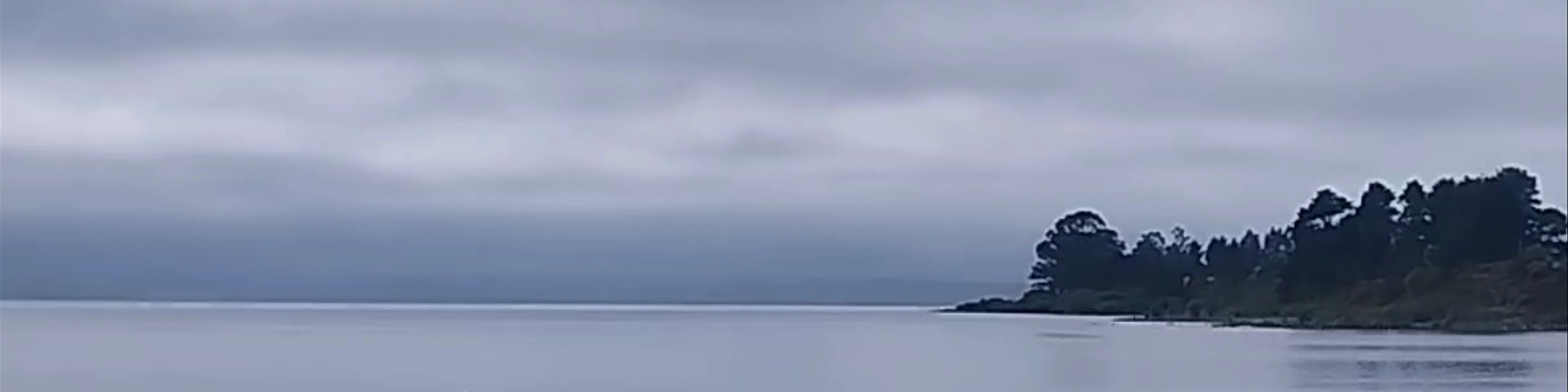 Muelle de Llanquihue - Blanco